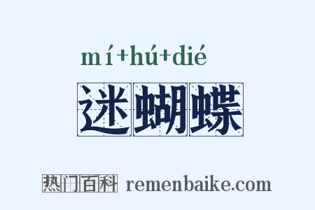 迷蝴蝶是什么意思的图片